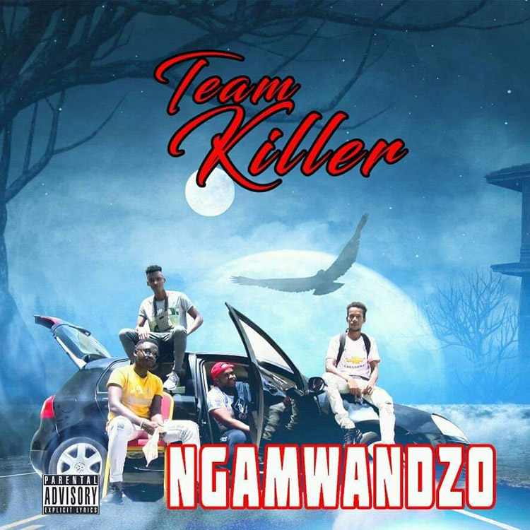 image Musique /Team Killer, le mixtape dans les bacs